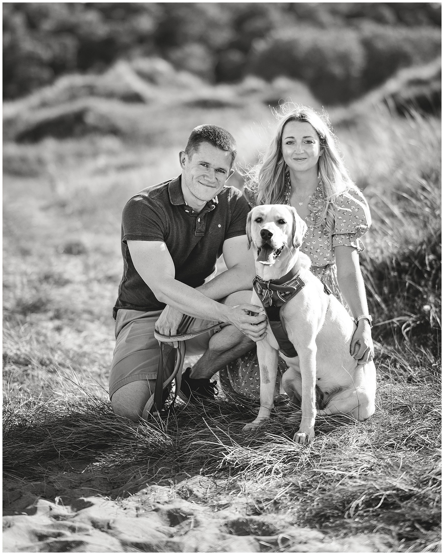 Pre Wedding Shoot with Dogs