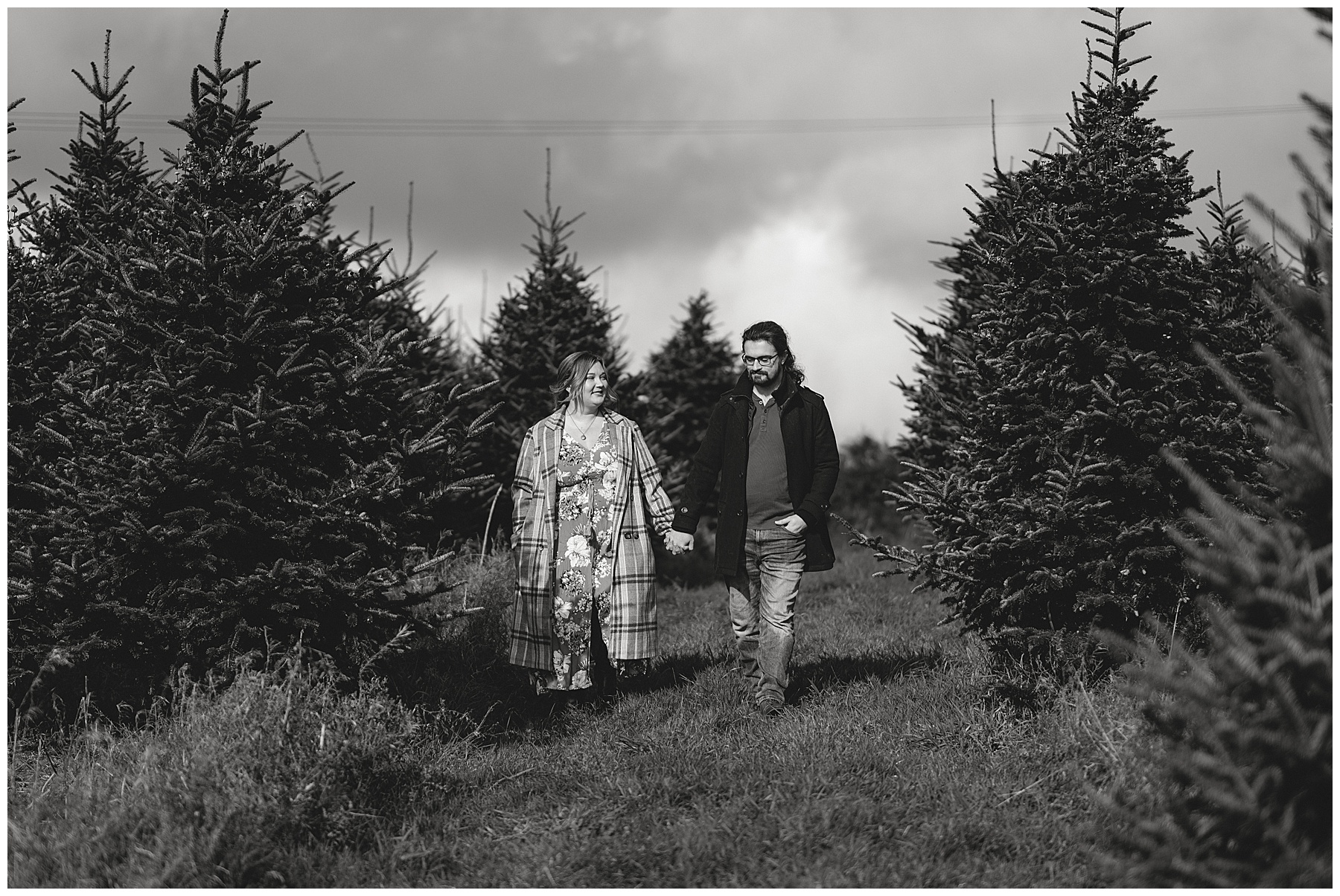 Gower Fresh Christmas Trees - Engagement Photos