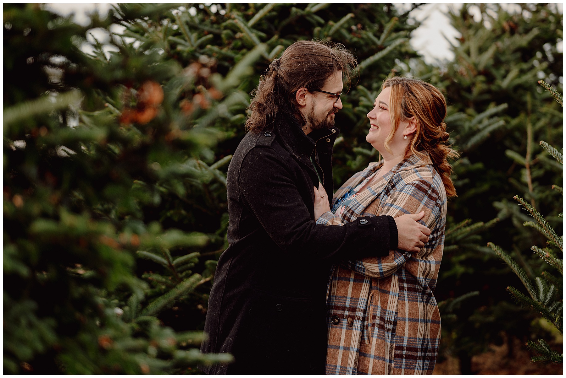 Gower Fresh Christmas Trees - Engagement Photos