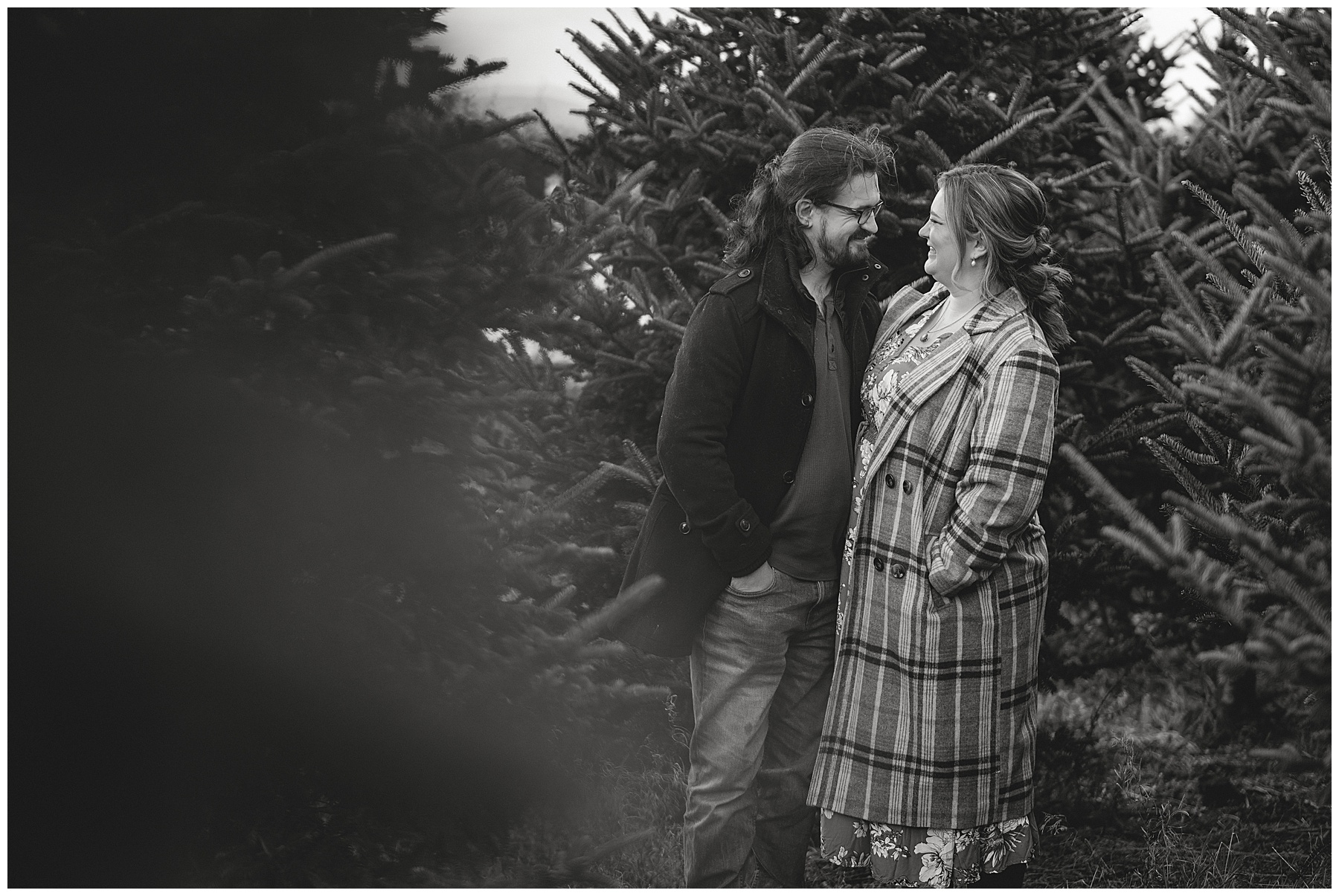 Engagement Photos at Gower Fresh Christmas Trees