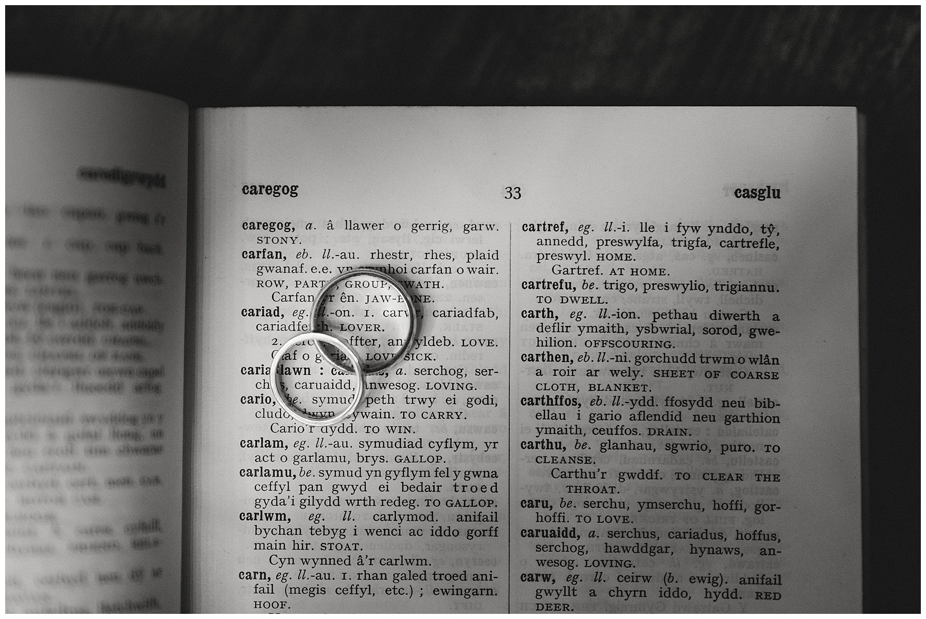 Wedding Rings Photographed In Dictionary