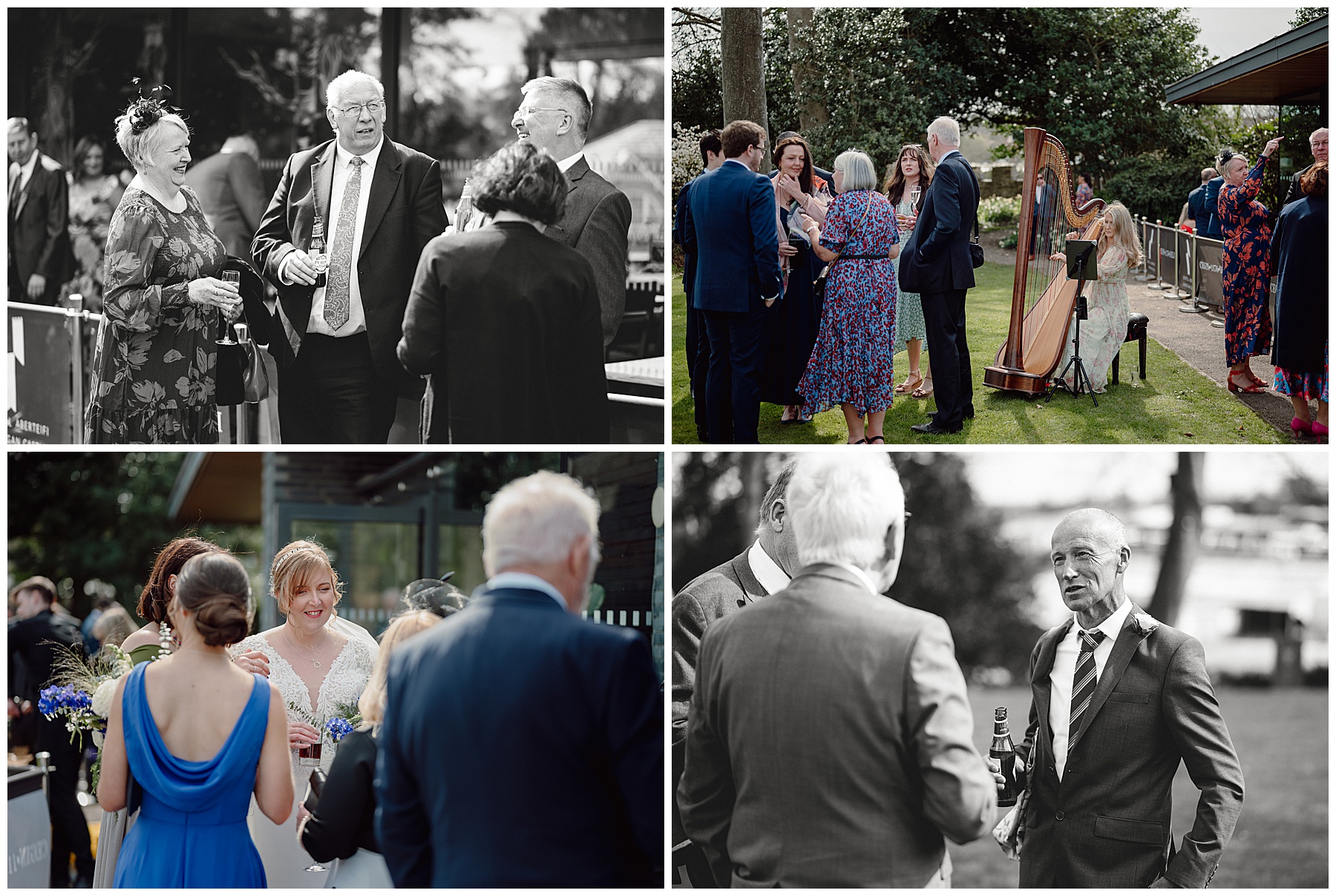 Wedding Guests Mingling at Cardigan Castle