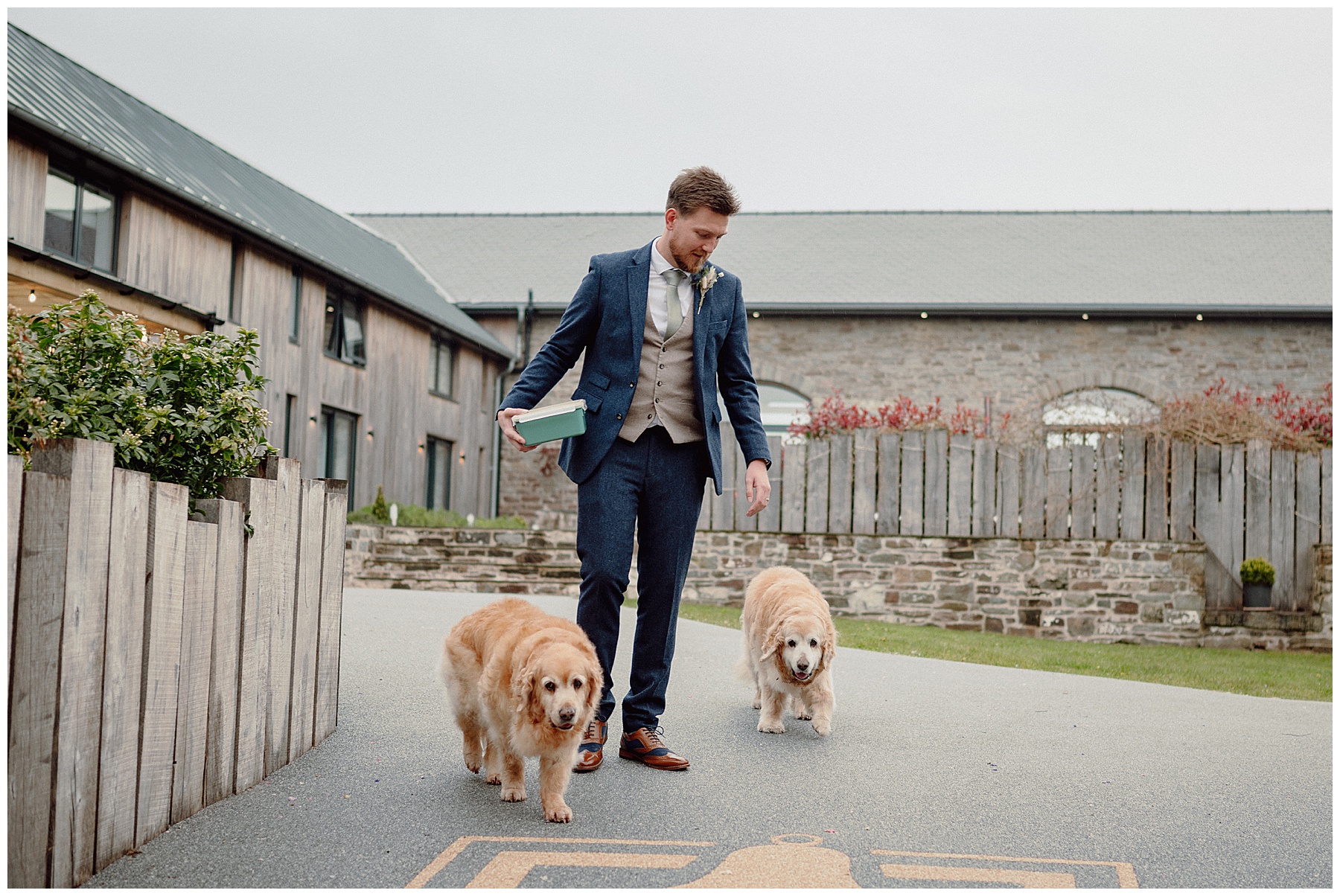 Groom with Dogs at Courtyard Wales