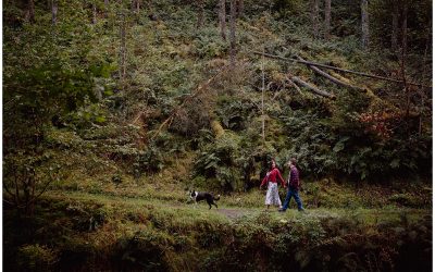 Brechfa Forest Pre Wedding – Heather & James